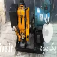 قیمت خرید موتور رومانی آب کشی در دوبرجی در گروه خرید و فروش موتور کشاورزی در یکمیوه