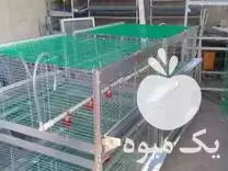فروش قفس مخصوص تمامی پرندگان در آمل در گروه تجهیزات مرغداری در یکمیوه -عکس1