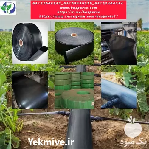 قیمت خرید لوله پلی اتیلن تاشو در هرمز در گروه خرید و فروش لوله پلی اتیلن در یکمیوه -عکس1