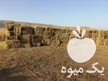 فروش یونجه کشاورزی و باغداری در پیرانشهر در گروه خوراک دام و طیور در یکمیوه -عکس1