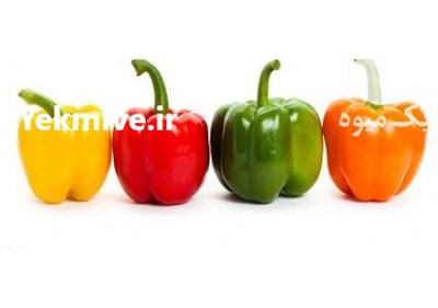 خریدار دائم فلفل دلمه ای در تهران در گروه خرید و فروش فلفل در یکمیوه -عکس2