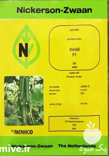فروش بذر خیار SHAHAB نیکرسون در تهران در گروه خرید و فروش بذر خیار در یکمیوه -عکس1