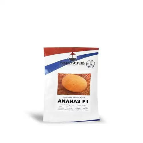 فروش بذر خربزه آناناسی هلندی در تهران در گروه خرید و فروش بذر خربزه در یکمیوه -عکس1
