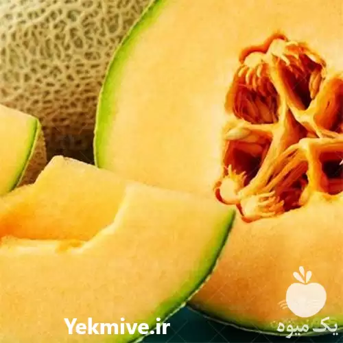 فروش بذر خربزه تونالیت ناسکو آمریکا در تهران در گروه خرید و فروش بذر خربزه در یکمیوه -عکس1