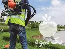 زدن علف هرز بریدن درخت در گروه خدمات باغبانی در یکمیوه -عکس1