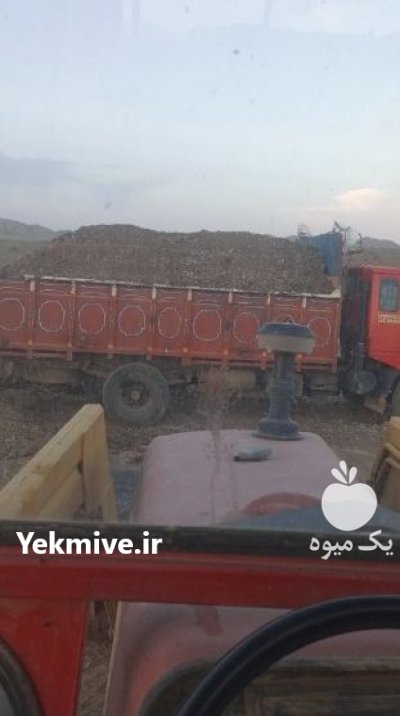 فروش ویژه کود مرغی قفسی در گروه خرید و فروش کود مرغی در یکمیوه -عکس1