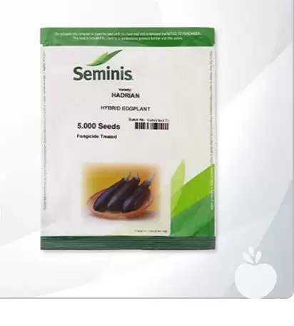 فروش بذر بادمجان هادریان در ارومیه در گروه خرید و فروش بذر بادمجان در یکمیوه -عکس1