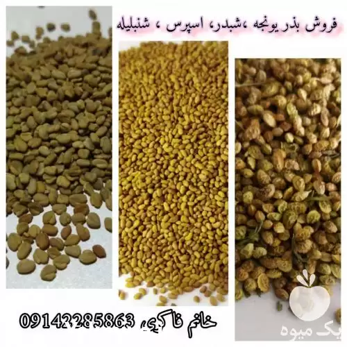 فروش تولید و عرضه بذر اسپرس در اصفهان در گروه خرید و فروش انواع بذر در یکمیوه -عکس1