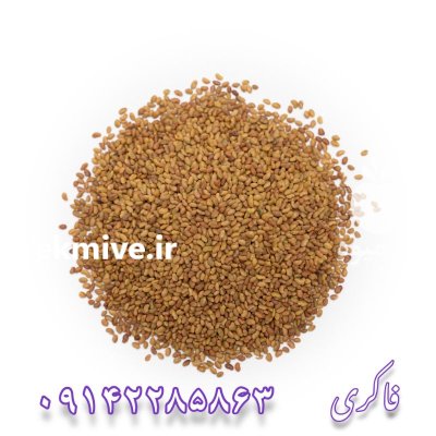 فروش انواع ارقام بذر یونجه در گروه خرید و فروش بذر یونجه در یکمیوه -عکس1