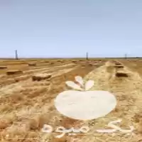 فروش کاه پرس تریتیکاله در اراک در گروه خوراک دام و طیور در یکمیوه