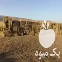فروش یونجه کشاورزی و باغداری در پیرانشهر در گروه خوراک دام و طیور در یکمیوه