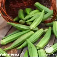 قیمت خرید بذر بامیه الیت در یزد در گروه خرید و فروش بذر بامیه در یکمیوه