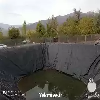 فروش ساخت استخرهای کشاورزی ارزان قیمت در گروه خرید و فروش ژئوممبران و ژئوتکستایل در یکمیوه