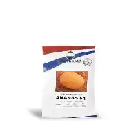 فروش بذر خربزه آناناسی هلندی در تهران در گروه خرید و فروش بذر خربزه در یکمیوه