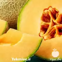 فروش بذر خربزه تونالیت ناسکو آمریکا در تهران در گروه خرید و فروش بذر خربزه در یکمیوه