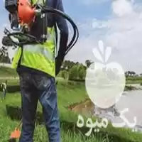 زدن علف هرز بریدن درخت در گروه خدمات باغبانی در یکمیوه