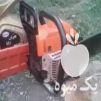 قطع درختان باغی با اره و هرس کاری در نوشهر در گروه هرس کاری در یکمیوه