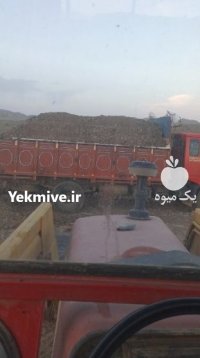 فروش ویژه کود مرغی قفسی در گروه خرید و فروش کود مرغی در یکمیوه