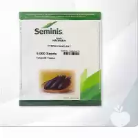 فروش بذر بادمجان هادریان در ارومیه در گروه خرید و فروش بذر بادمجان در یکمیوه