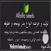 قیمت خرید انواع بذر یونجه علوفه در تبریز در گروه خرید و فروش بذر یونجه در یکمیوه