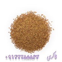 فروش انواع ارقام بذر یونجه در گروه خرید و فروش بذر یونجه در یکمیوه