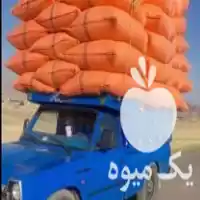 فروش خریدار کاه عدس و کاه در گروه خوراک دام و طیور در یکمیوه