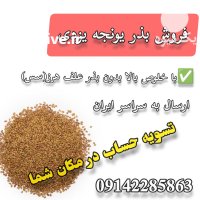 فروش بذر یونجه یزدی در بوشهر در گروه خرید و فروش بذر یونجه در یکمیوه
