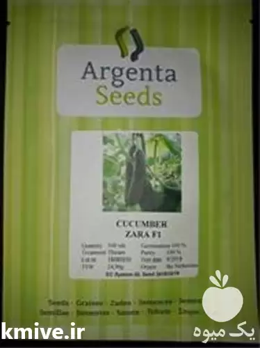 قیمت خرید بذر خیار گلخانه ای در شیراز در گروه خرید و فروش بذر خیار در یکمیوه -عکس1