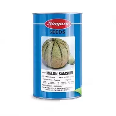 قیمت خرید بذر طالبی سمسوری نیاگارا در مشهد در گروه خرید و فروش بذر طالبی در یکمیوه -عکس1