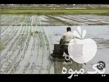 نشاکاری با دستگاه نشا در محمودآباد در گروه خدمات نشا کاری در یکمیوه -عکس1