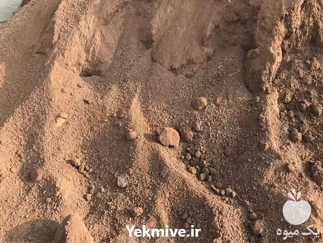 فروش خاک باغچه کیسه ای مخلوط در رشت در گروه انواع محصولات خاک و تغذیه در یکمیوه -عکس1