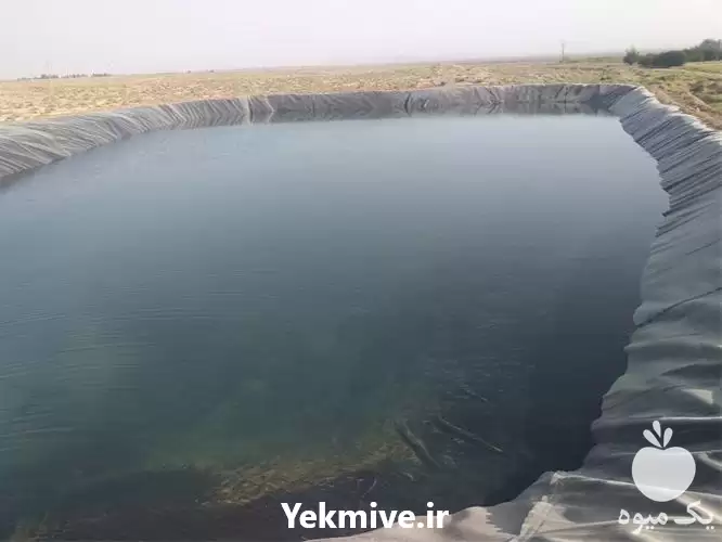 قیمت خرید نصب استخرهای پلیمری در گروه خرید و فروش استخر کشاورزی در یکمیوه -عکس1
