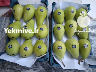 گلابی بیروتی در ساری در گروه خرید و فروش گلابی در یکمیوه -عکس1