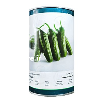 فروش بذر خیار هیبرید مایا فلات در گروه خرید و فروش بذر خیار در یکمیوه -عکس1