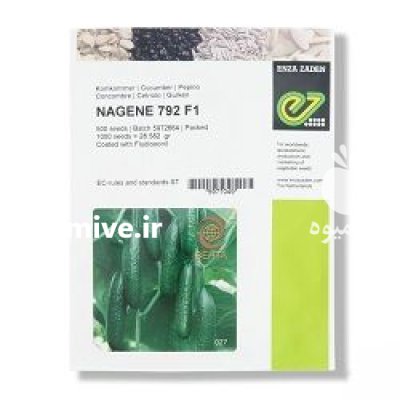 فروش بذر خیار گلخانه ای ناگین در سیلوانه در گروه خرید و فروش بذر خیار در یکمیوه -عکس1