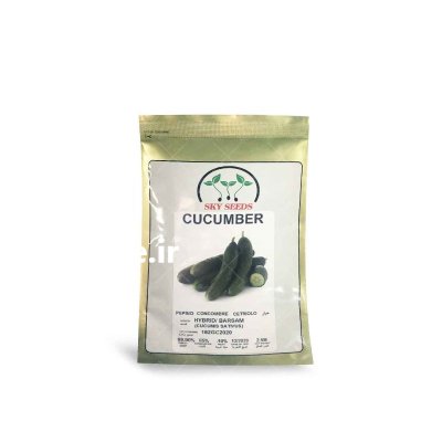 فروش بذر خیار هیبرید برسام آمریکایی در بجنورد در گروه خرید و فروش بذر خیار در یکمیوه -عکس1