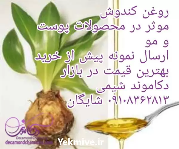 فروش ویژه روغن کندش با بهترین در تهران در گروه خرید و فروش انواع روغن در یکمیوه -عکس1