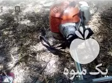 کلیه خدمات علف زنی در حسن آباد در گروه خدمات باغبانی در یکمیوه -عکس1