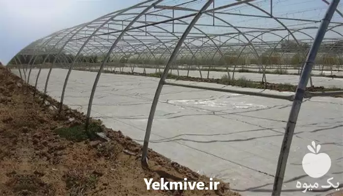 قیمت خرید تولید نایلون عریض کشاورزی در رشت در گروه خرید و فروش انواع پوشش ها در یکمیوه -عکس1