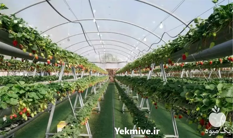 فروش نایلون عریض در ابعاد تا در یزد در گروه خرید و فروش انواع پوشش ها در یکمیوه -عکس1