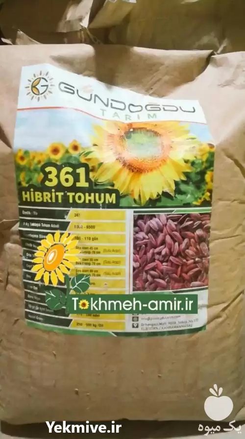 فروش بذر زودرس تخمه آفتابگردان آجیلی در گروه خرید و فروش انواع تخمه در یکمیوه -عکس1