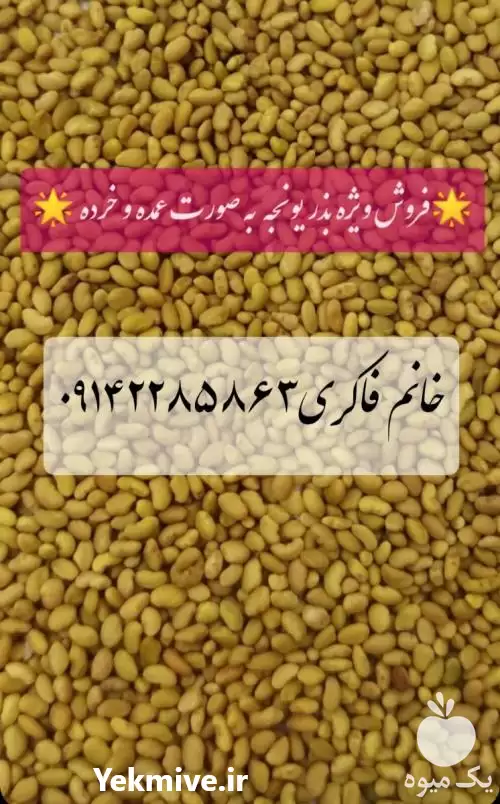 قیمت خرید بذر یونجه پایه بلند در گروه خرید و فروش بذر یونجه در یکمیوه -عکس1