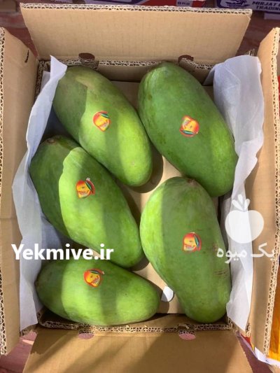 فروش انبه تازه در گروه خرید و فروش انبه در یکمیوه -عکس2