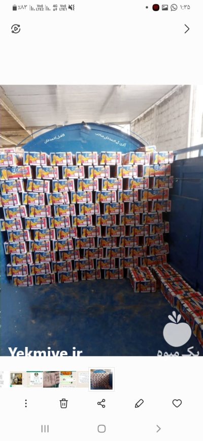 فروش انبه تازه در گروه خرید و فروش انبه در یکمیوه -عکس3