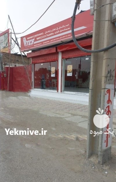 فروش انبه تازه در گروه خرید و فروش انبه در یکمیوه -عکس4