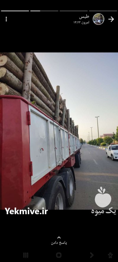 فروش انواع چوب پالتی و ذغالی در گروه خرید و فروش انواع چوب در یکمیوه -عکس1