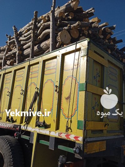 فروش انواع چوب پالتی و ذغالی در گروه خرید و فروش انواع چوب در یکمیوه -عکس3