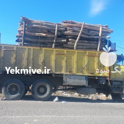 فروش انواع چوب پالتی و ذغالی در گروه خرید و فروش انواع چوب در یکمیوه -عکس4
