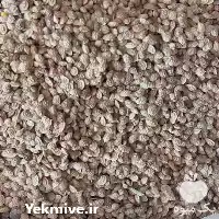 قیمت خرید بذر یونجه اسپرس ارسال در تبریز در گروه خرید و فروش بذر یونجه در یکمیوه