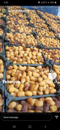 رطب درجه یک بلوز دامنی دالکی در گروه خرید و فروش خرما در یکمیوه